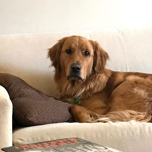 Meet your Posher, Danica